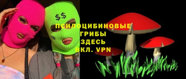спайс Алексин