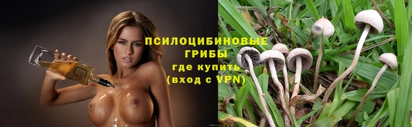 эйфоретик Алексеевка