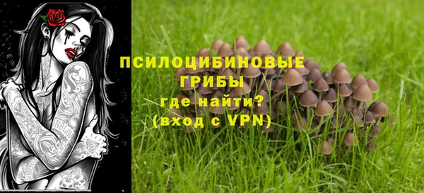 мяу мяу мука Пересвет