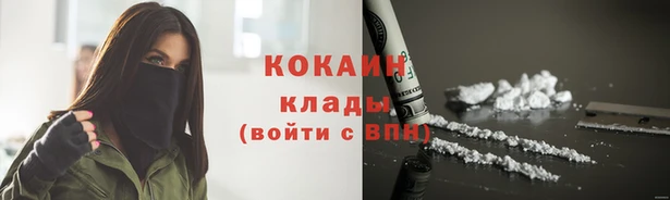спайс Алексин