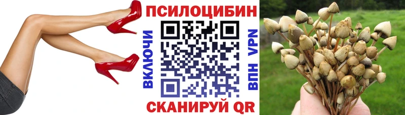 блэк спрут онион Крымск Галлюциногенные грибы Psilocybe